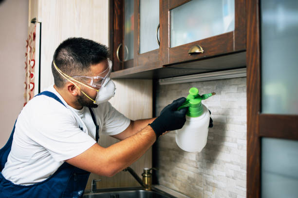 Best Pest Control Treatment  in Montgomery, AL