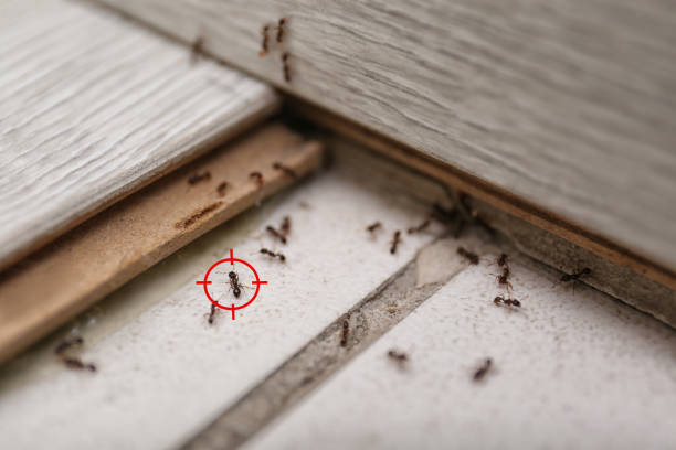 Best Exterminator Services  in Montgomery, AL
