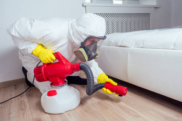 Best Flea Control Services  in Montgomery, AL