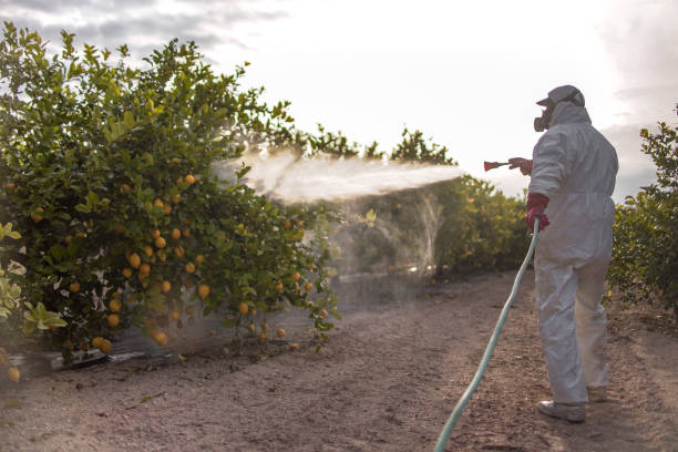Wildlife Control Services in Montgomery, AL