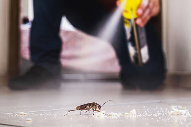 Professional Pest Control in Montgomery, AL