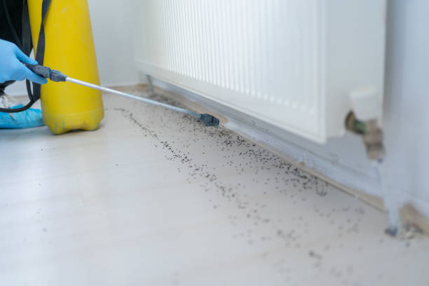 Best Mosquito Control Services  in Montgomery, AL