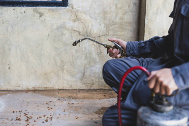 Best Affordable Pest Control Services  in Montgomery, AL